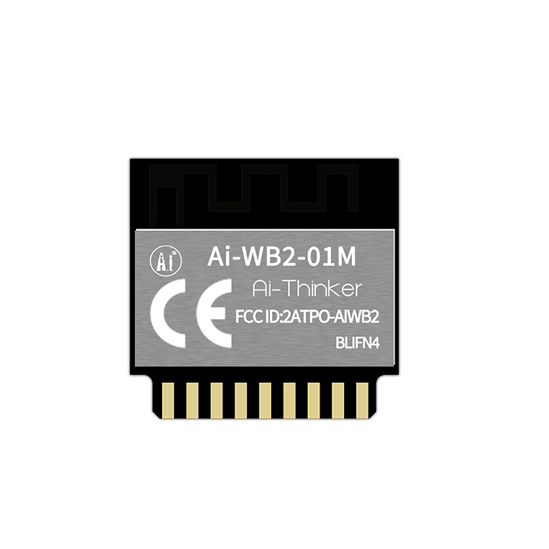 Ai-Thinker Ai-WB2-01M Module