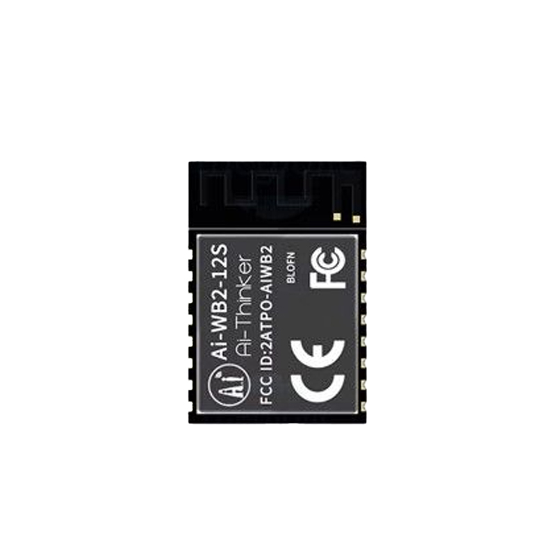Ai-Thinker Ai-WB2-12S Module