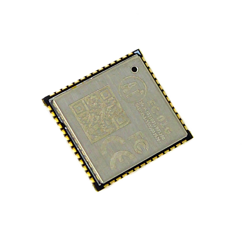 Ai-Thinker EC-01G NB-IOT Module