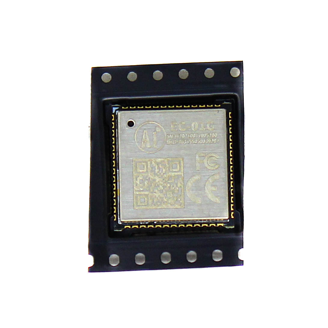 Ai-Thinker EC-01G NB-IOT Module