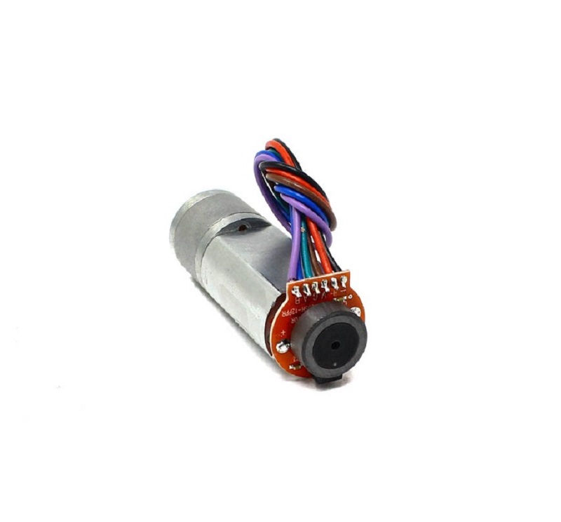 TT Motor – N20 24V 55RPM Metal Gear Motor With Encoder D Type Shaft