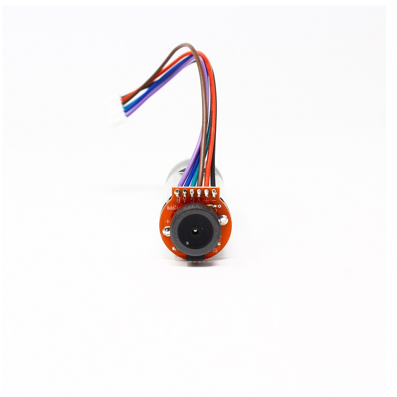 TT Motor – N25 6V 115RPM Metal gear Motor With Encoder D type